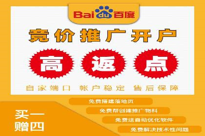 SEM代理案例：揭秘成功背后的秘密